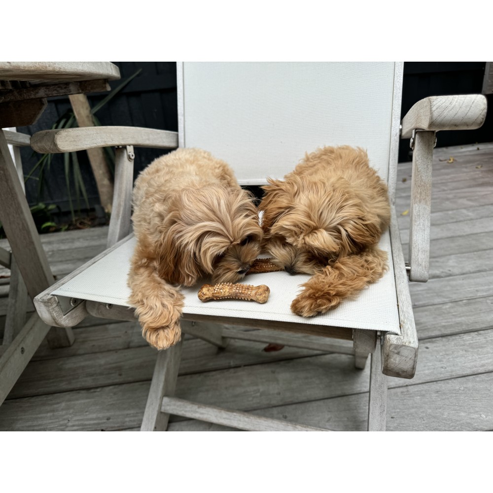 Natural Nubz Chicken Dog Chew Treats