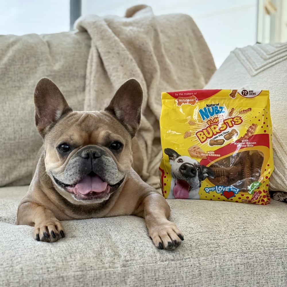 Nubz Flavor Bursts Bacon & Cheese Dog Chew Treats | Nylabone