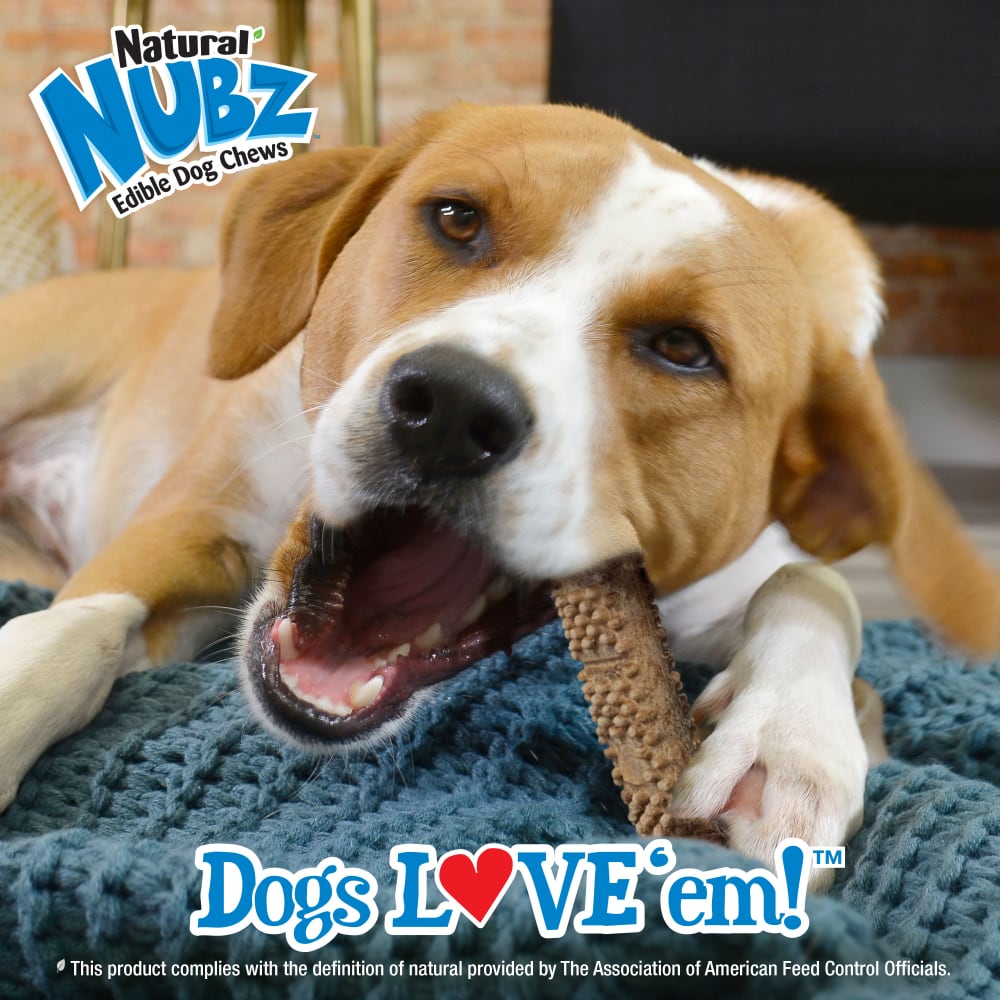 018214854593-nylabone-nubz-meaty-center-2ct-medium-lifestyle-logo-copy-2