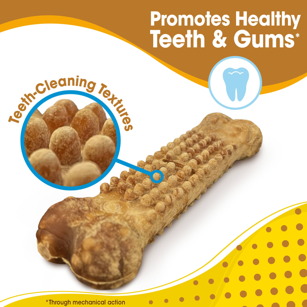 nubz-pb-dental