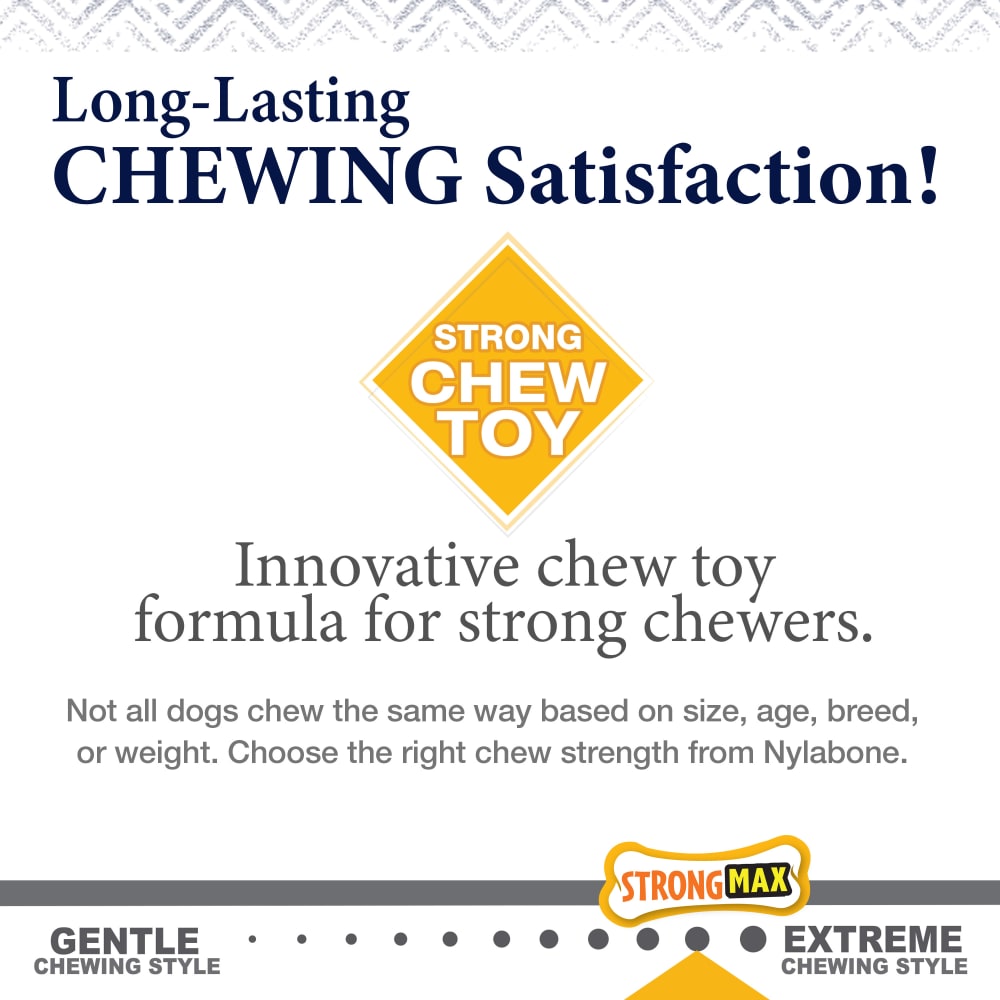 018214852209-nylabone-gourmet-style-small-bacon-wishbone-chewstrength
