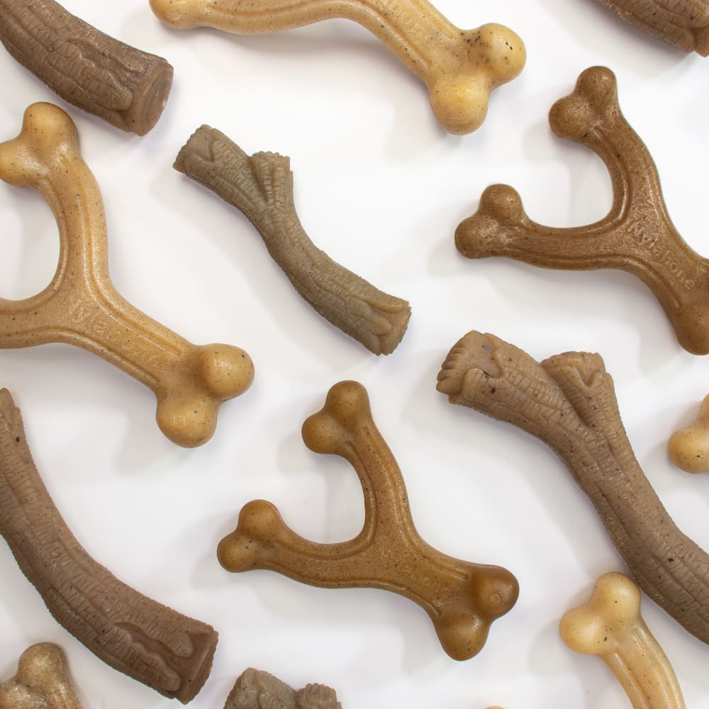 018214852209-nylabone-gourmet-style-small-bacon-wishbone-familyshot