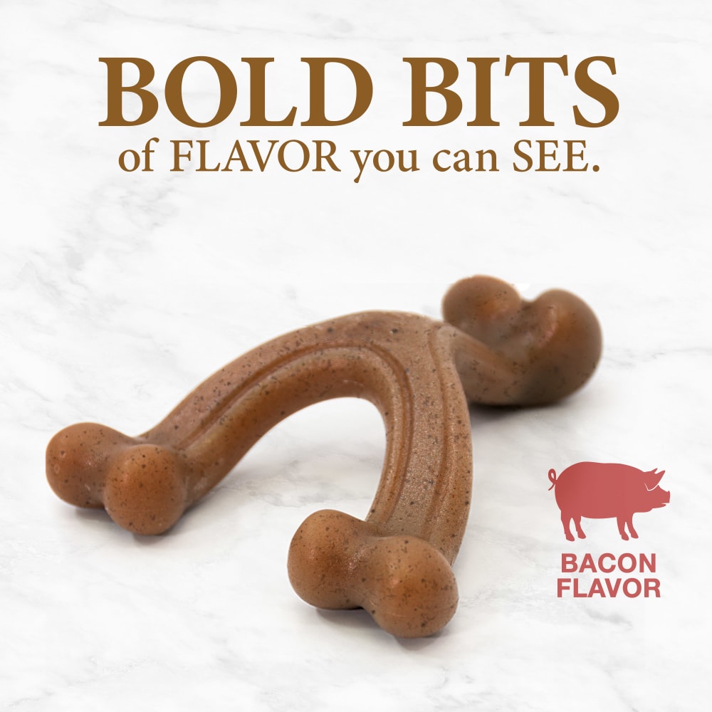 018214852209-nylabone-gourmet-style-small-bacon-wishbone-outofpackage