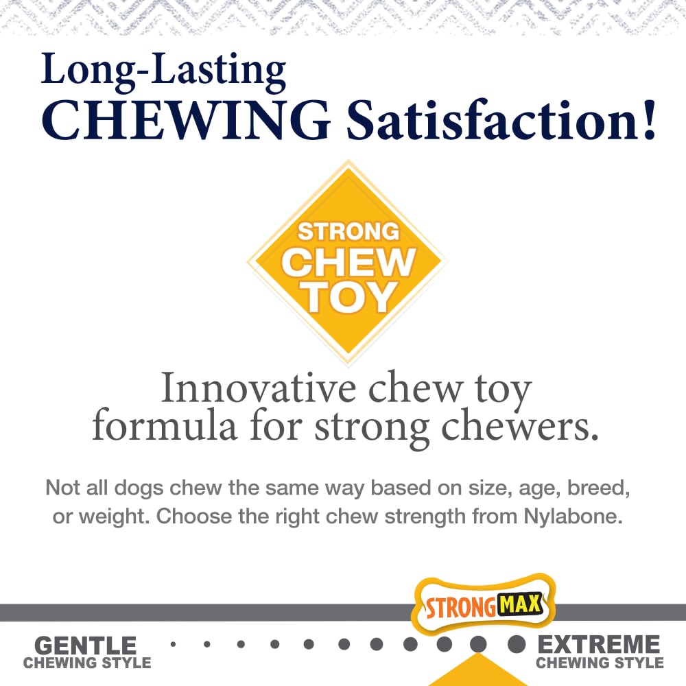 018214852704-nylabone-gourmet-style-large-chicken-stick-chewstrength