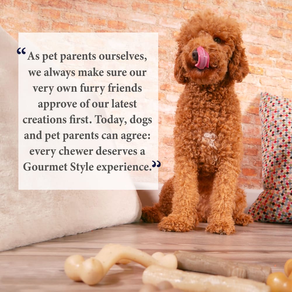 018214852704-nylabone-gourmet-style-large-chicken-stick-quote