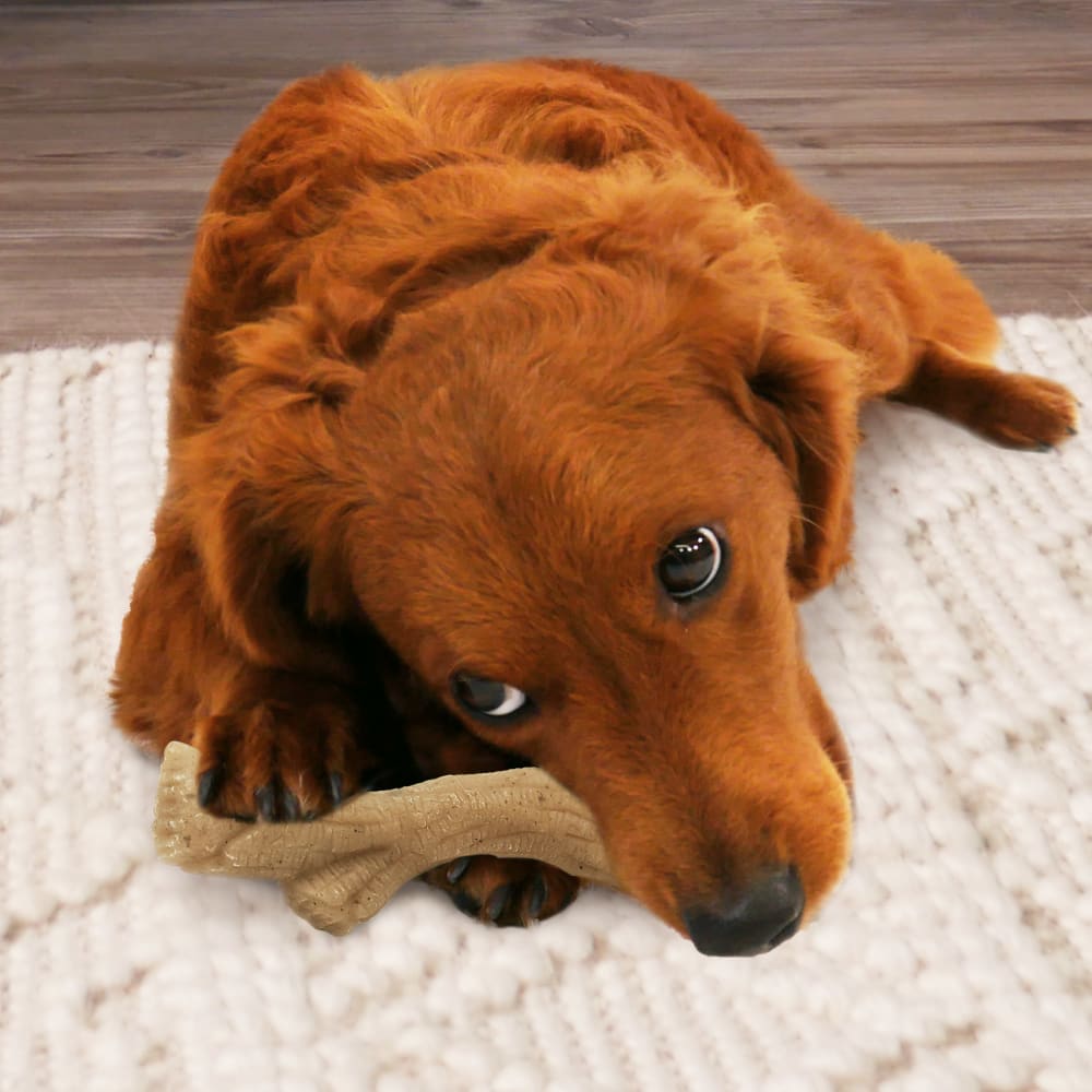 Gourmet Style Strong Stick Dog Chew Toy | Nylabone
