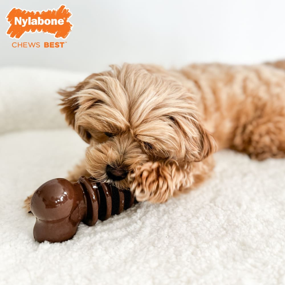 What is a Good Chew Toy for Dogs: Top Durable Picks Reviewed