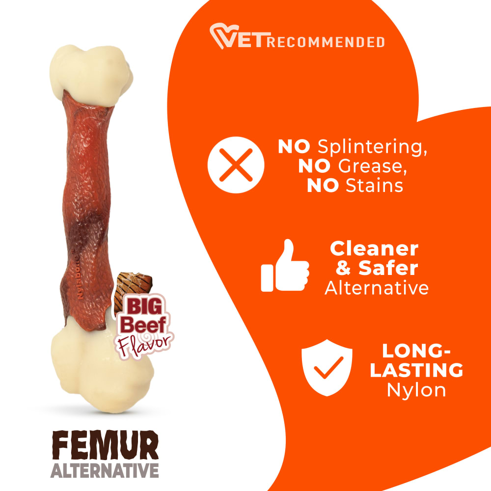 Power Chew Femur Dog Bone Alternative | Nylabone