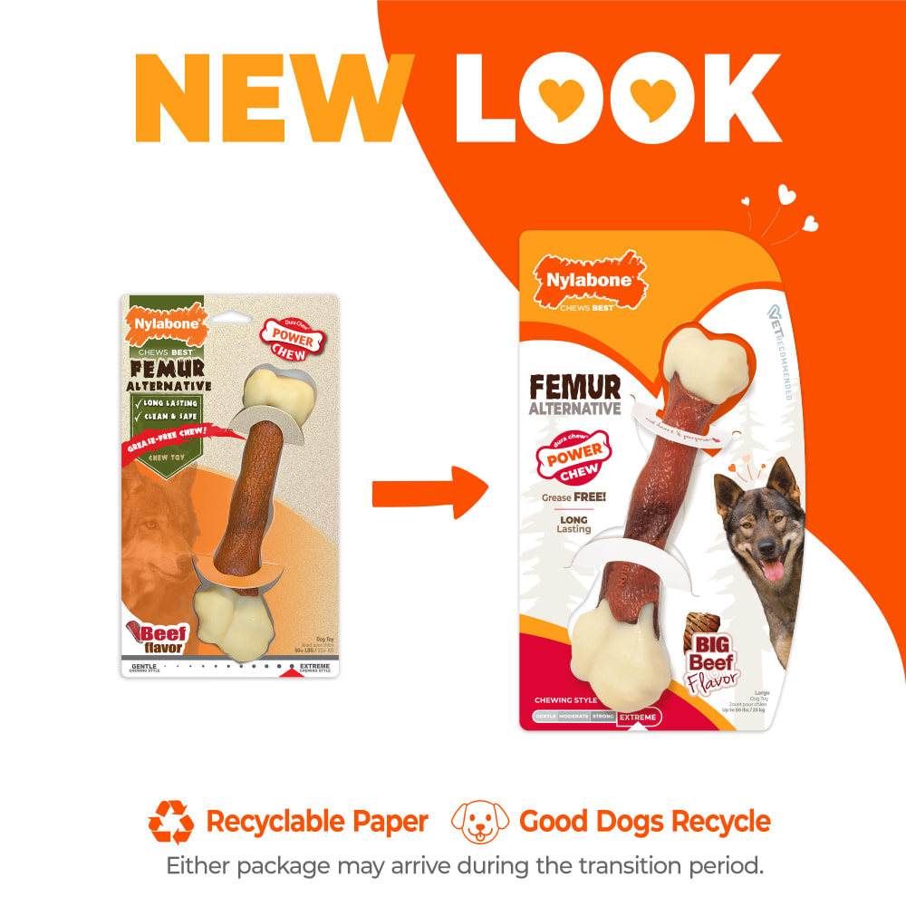 Power Chew Femur Dog Bone Alternative | Nylabone