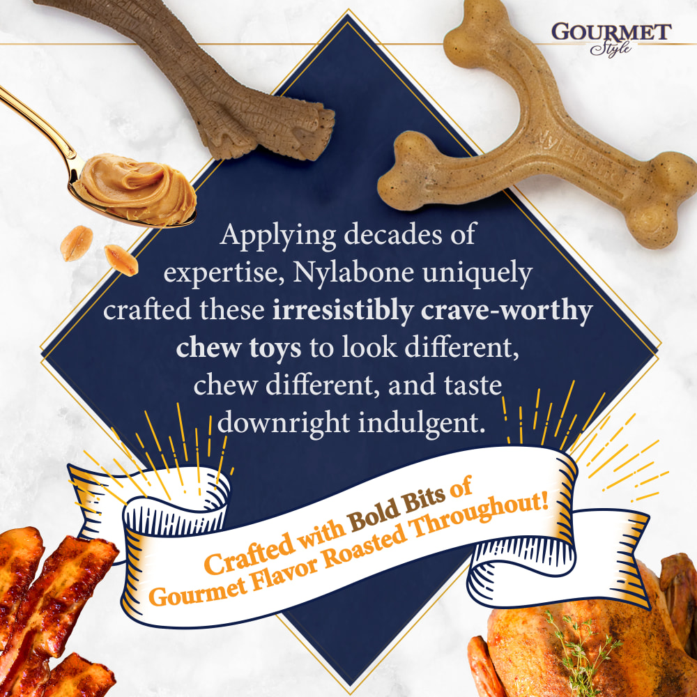 nylabone-gourmet-style-brandstory