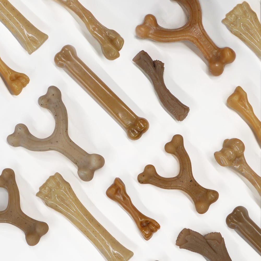 Nylabone Gourmet Femur Giant Baby Back Ribs family