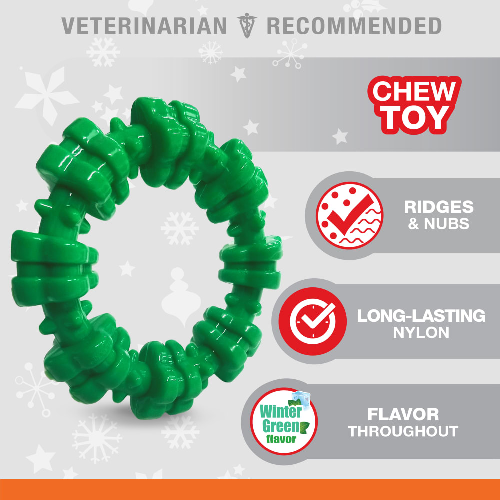 Nylabone Green Holiday Textured Ring Small out of packaging