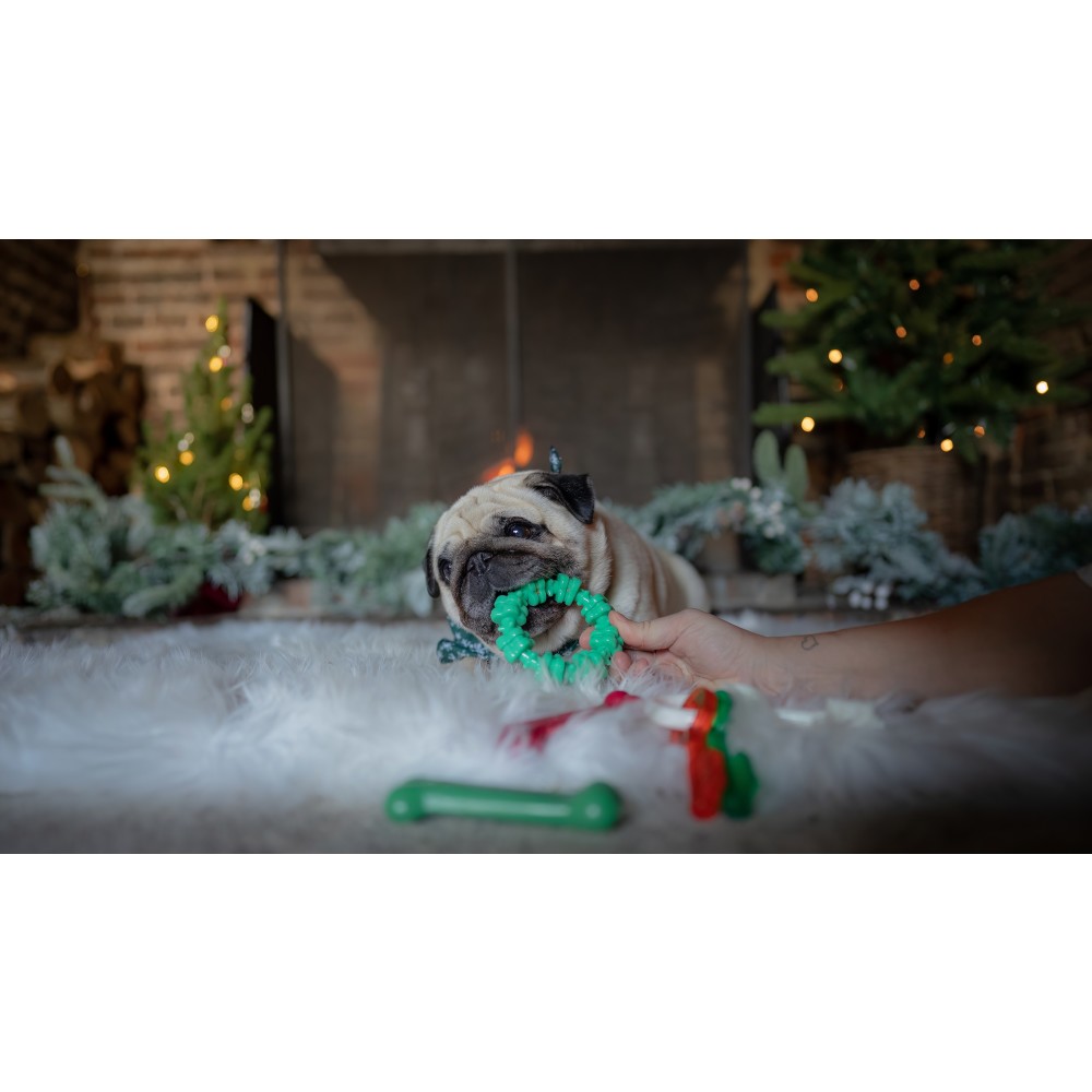 dog with chistmas chew ring and bone