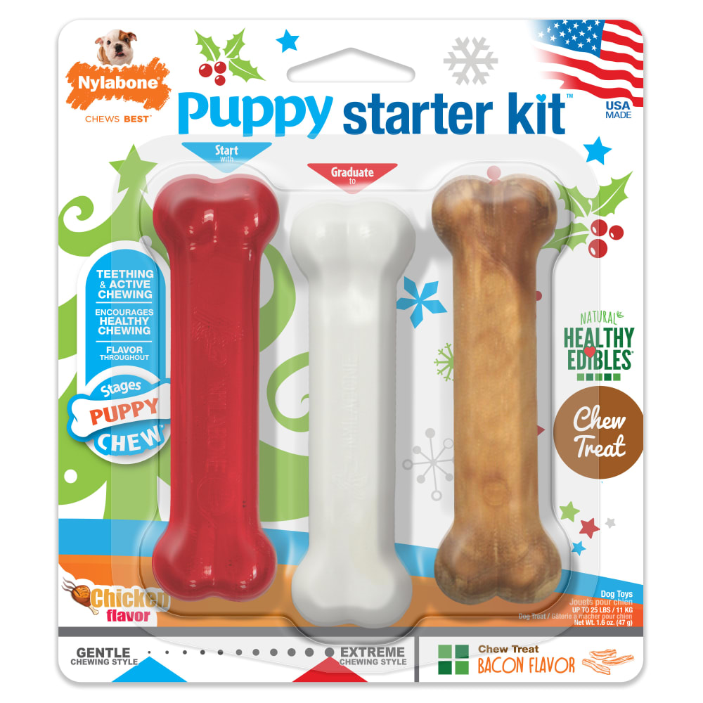 018214835776-nylabone-holidaypuppystarterkit-inpackagingfront