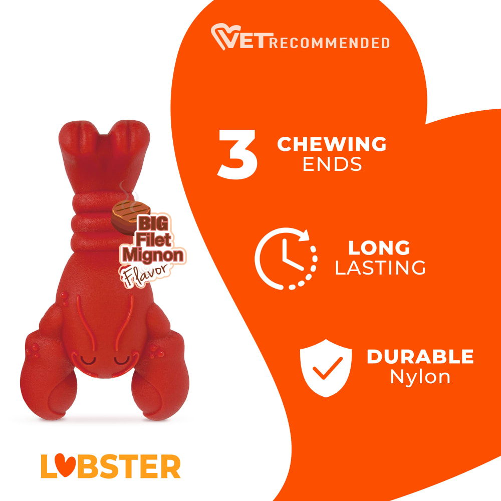 Power Chew Lobster Dog Toy | Nylabone