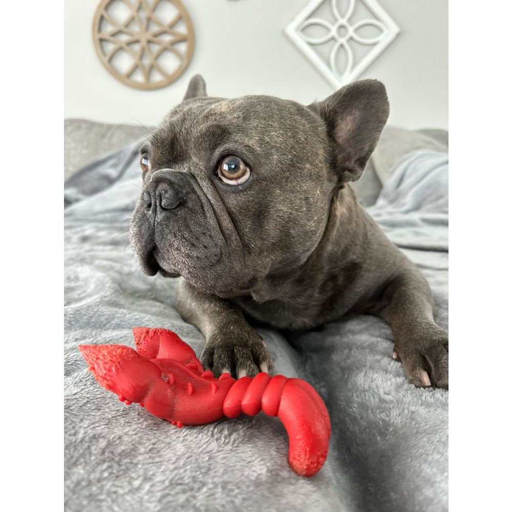 Wooly Bomba しなるビーター [もふもふピンク] 新品直輸入1本 残4 Amazon.co.jp: VATER ベーター バスドラム・ペダル・ビーター