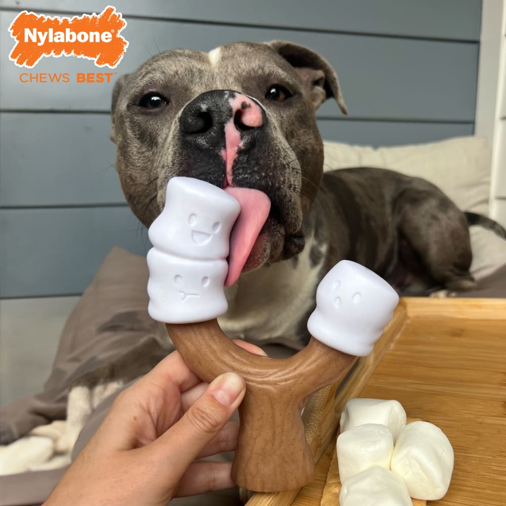 Envenzo Dog Chew Beefy Bones - Hard Rubber Teething Aid For Small To XL Dogs