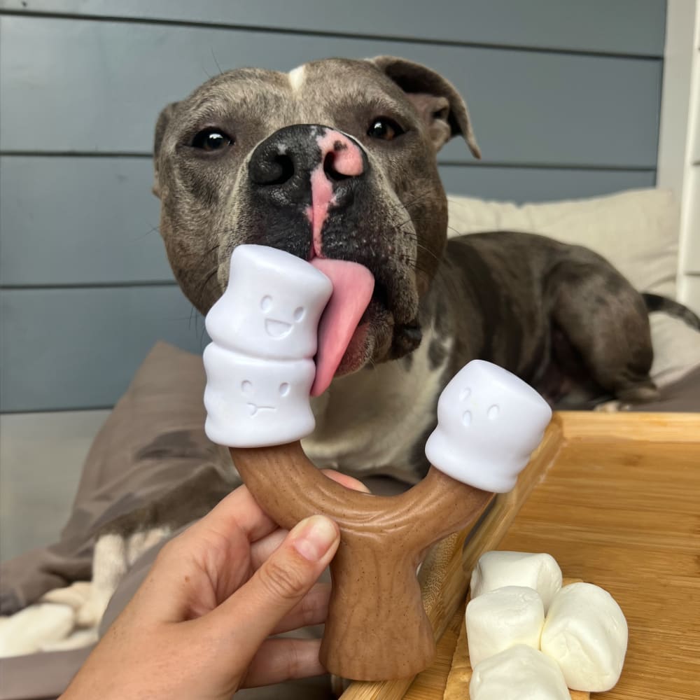 018214855583-nylabone-marshmallow-stick-giant-lifestyle-option1