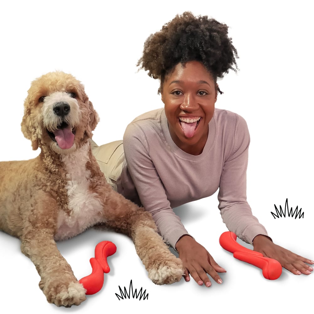 Creative Play StikGO Dog Fetch Toy Nylabone