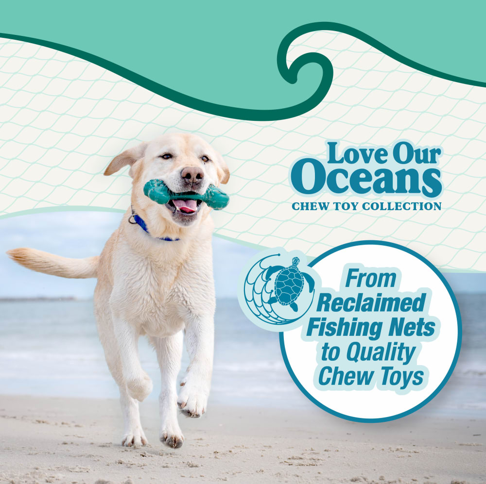 Power Chew Love Our Oceans Frenzy Bone Dog Chew Toy | Nylabone