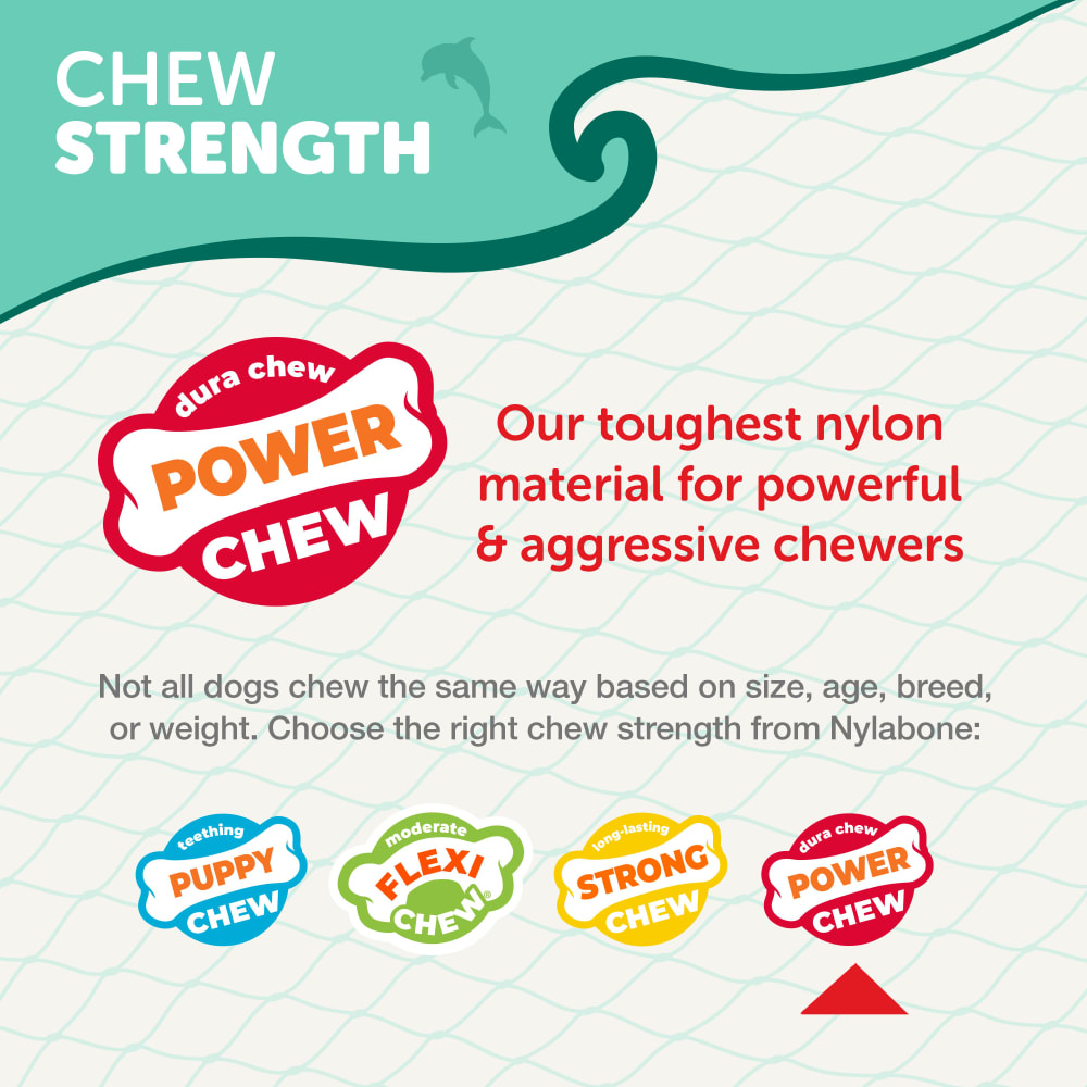 Power Chew Love Our Oceans Frenzy Bone Dog Chew Toy | Nylabone