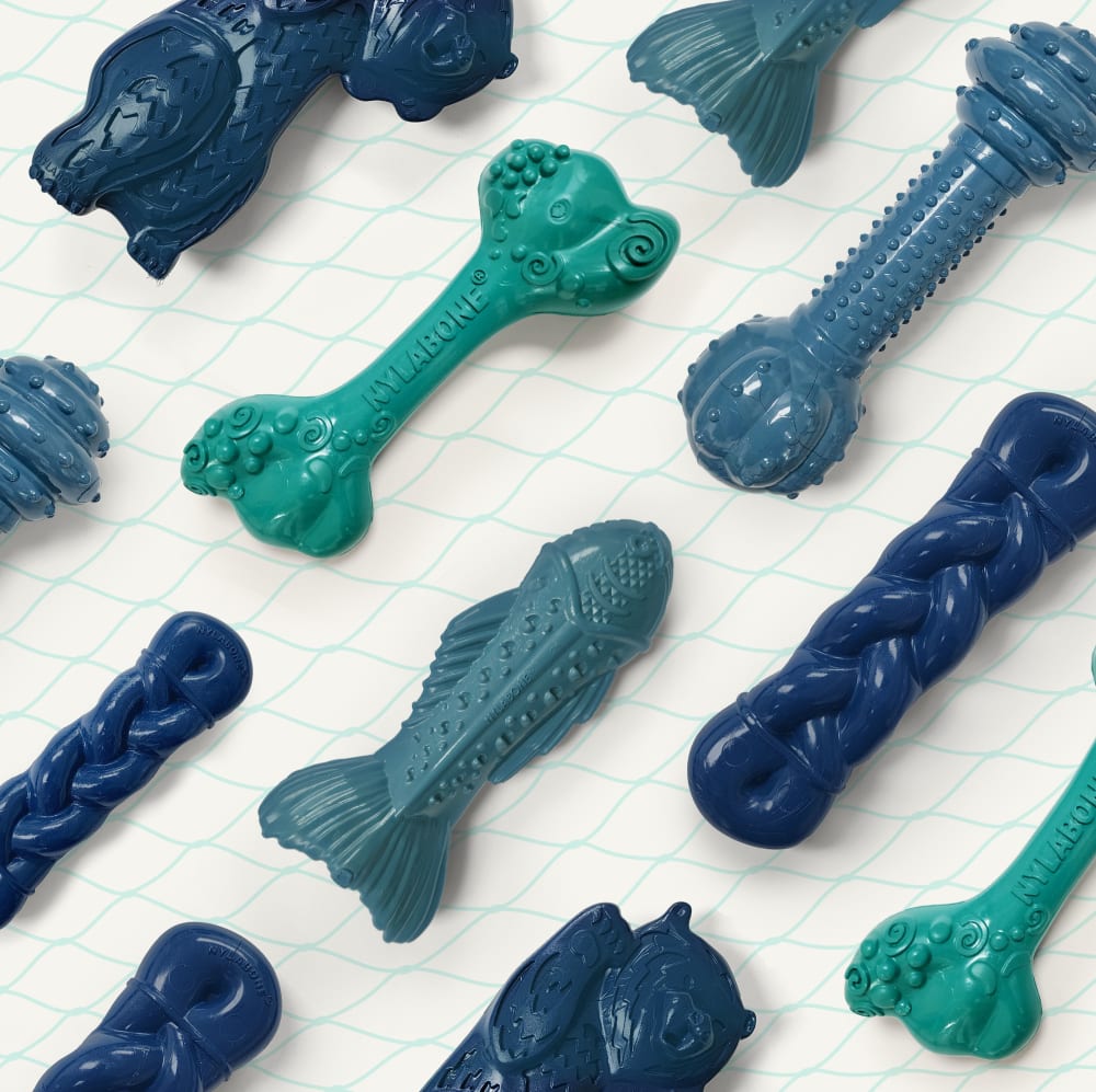 Power Chew Love Our Oceans Textured Barbell Dog Chew Toy | Nylabone