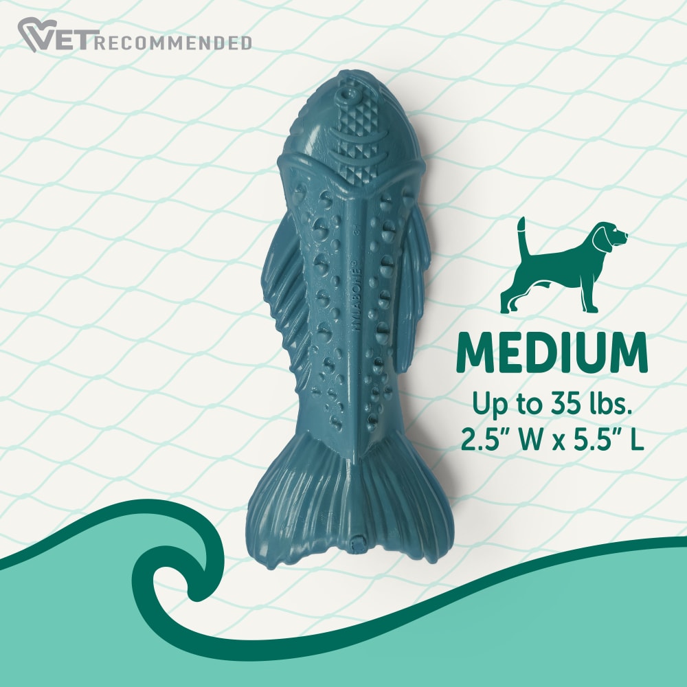 Power Chew Love Our Oceans Textured Fish Dog Chew Toy | Nylabone