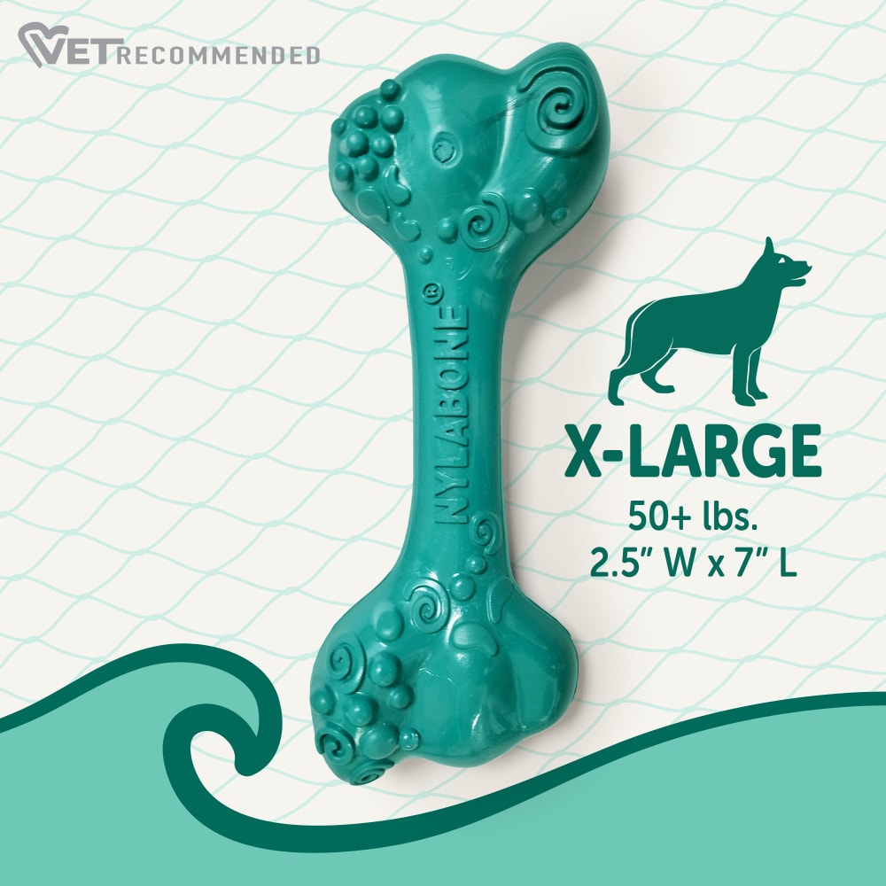Power Chew Love Our Oceans Frenzy Bone Dog Chew Toy | Nylabone