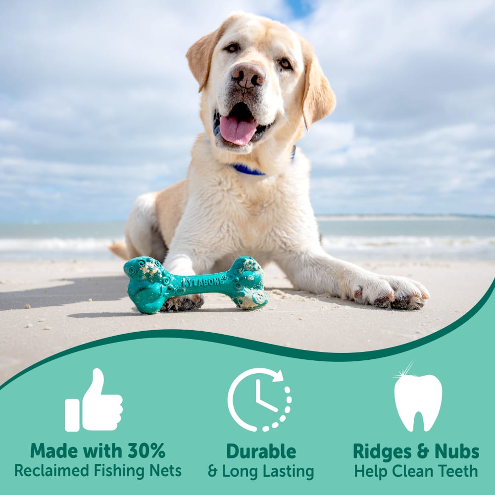 best hands free dog leash 2019 Hands-Free Leash  Modern Companion
