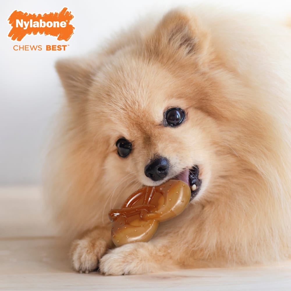 018214850724-nylabone-nylabone-power-chew-pretzel-toy-lifestyle