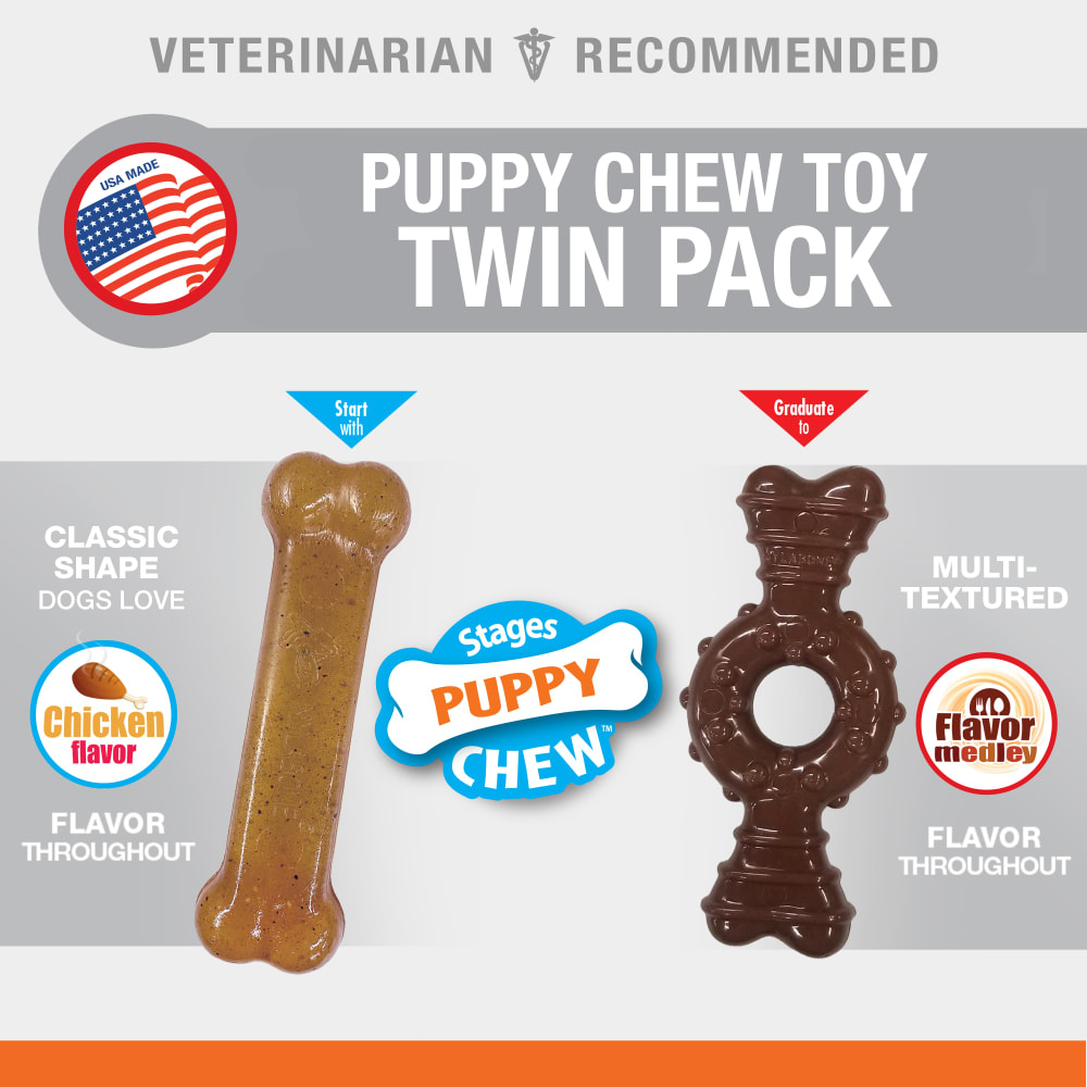 Puppy swallowed nylabone shop