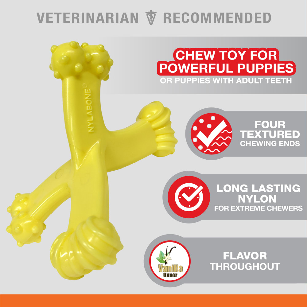 018214850014_Nylabone_Puppy Axis Bone_OutOfPackage