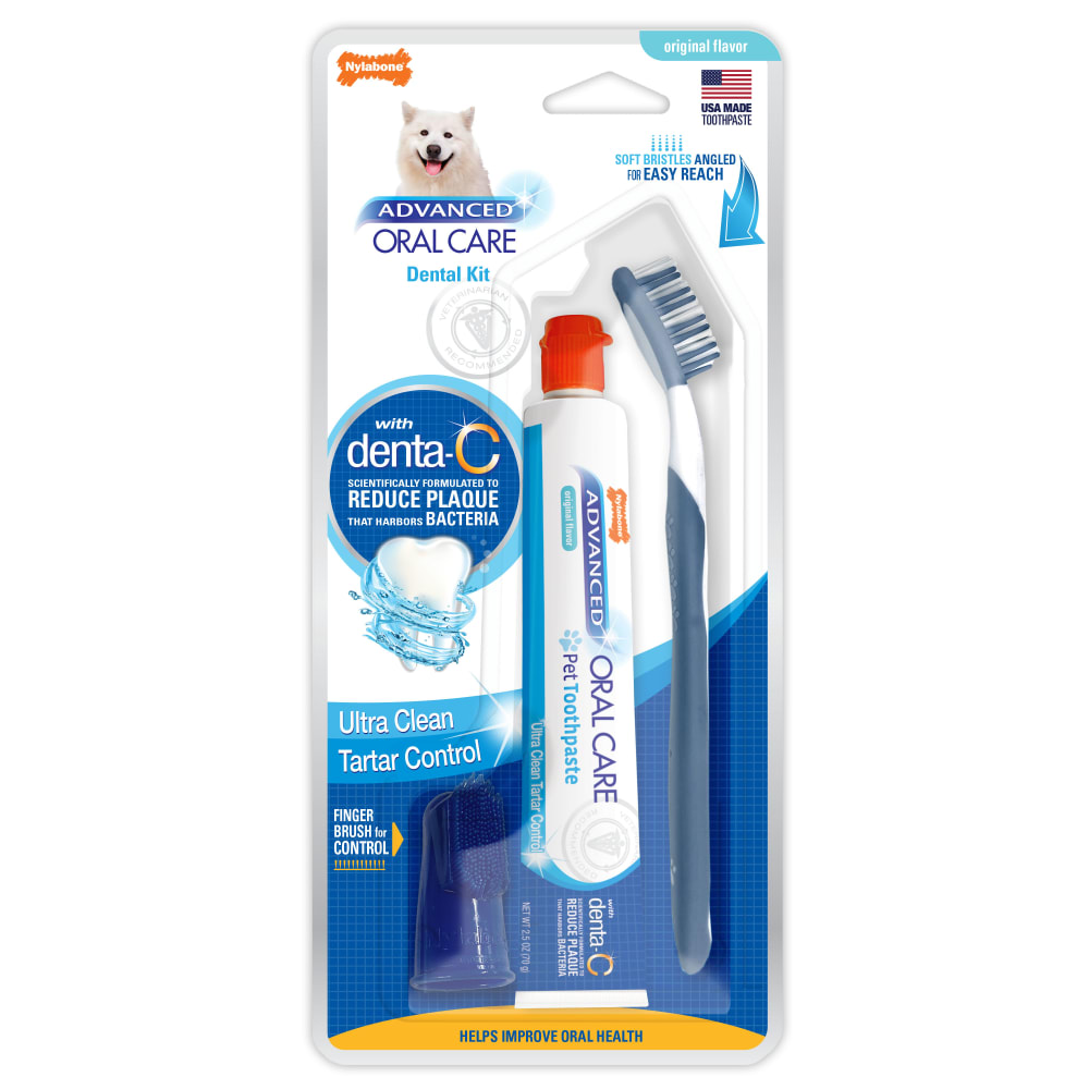 Front view of Nylabone Aoc Adult Dental Kit in packaging