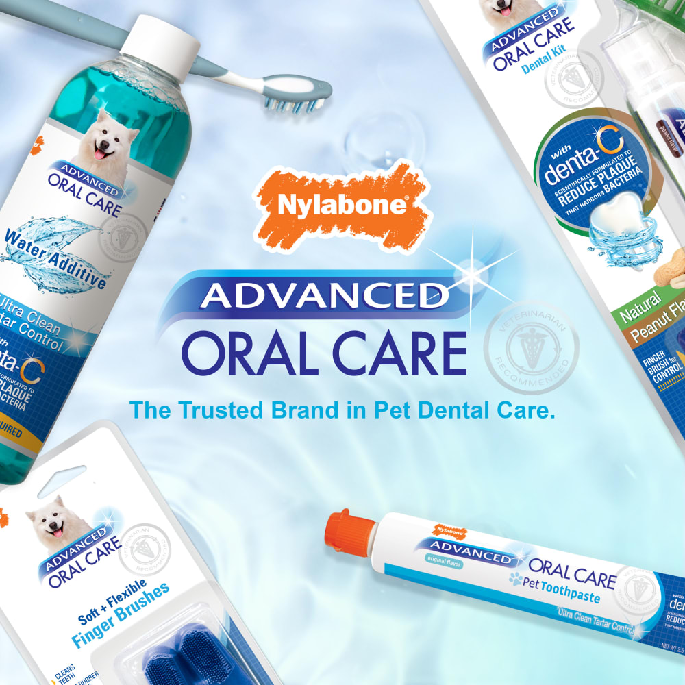 Nylabone senior toothpaste clearance