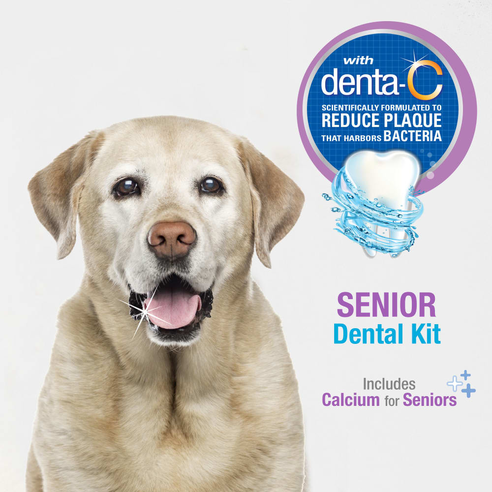 Senior dog dental chews on sale