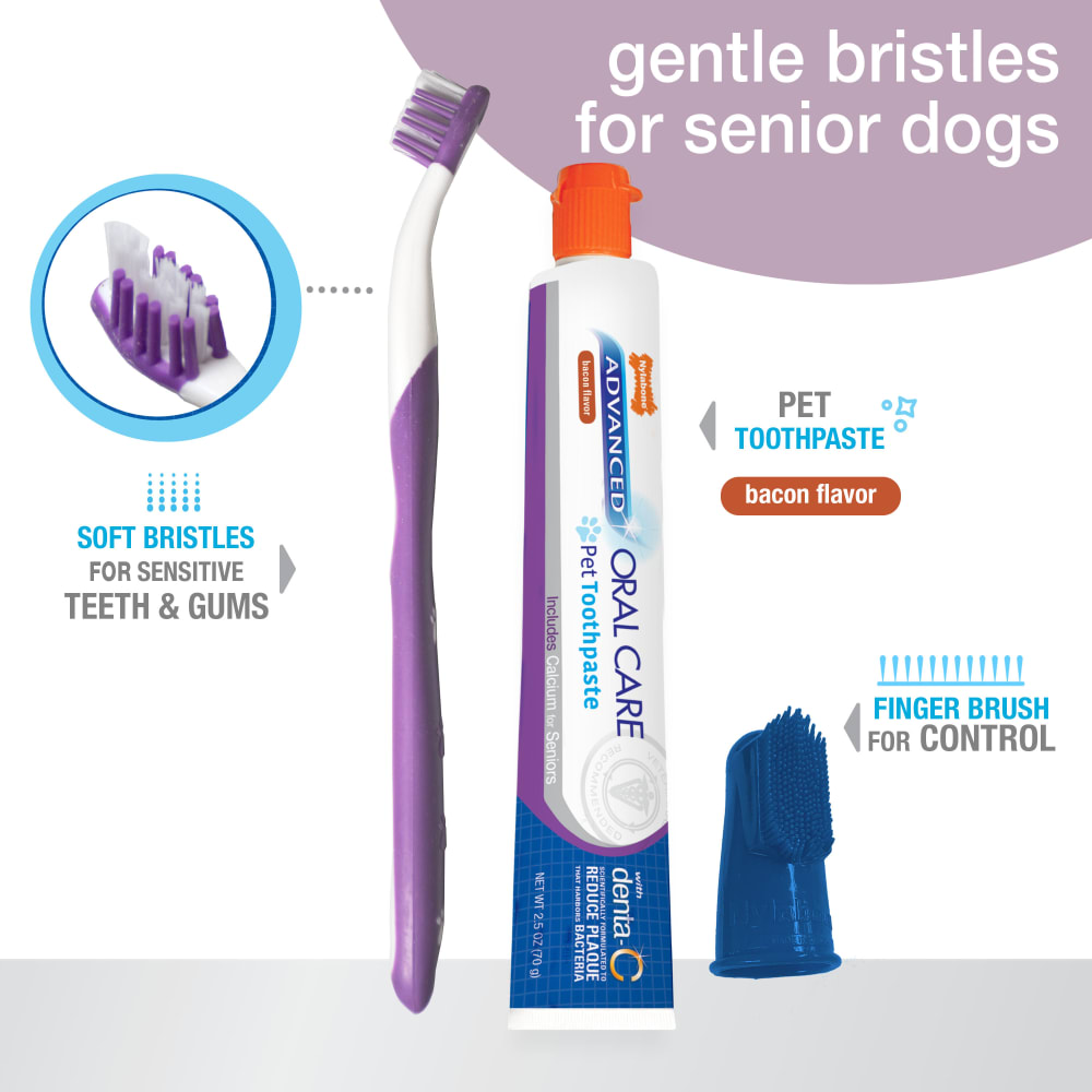 Advanced Oral Care Senior Dog Dental Kit Nylabone