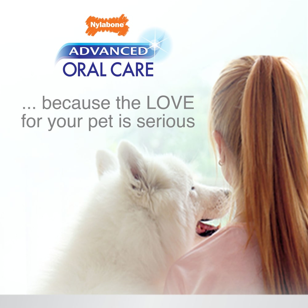 Nylabone tartar control toothpaste top