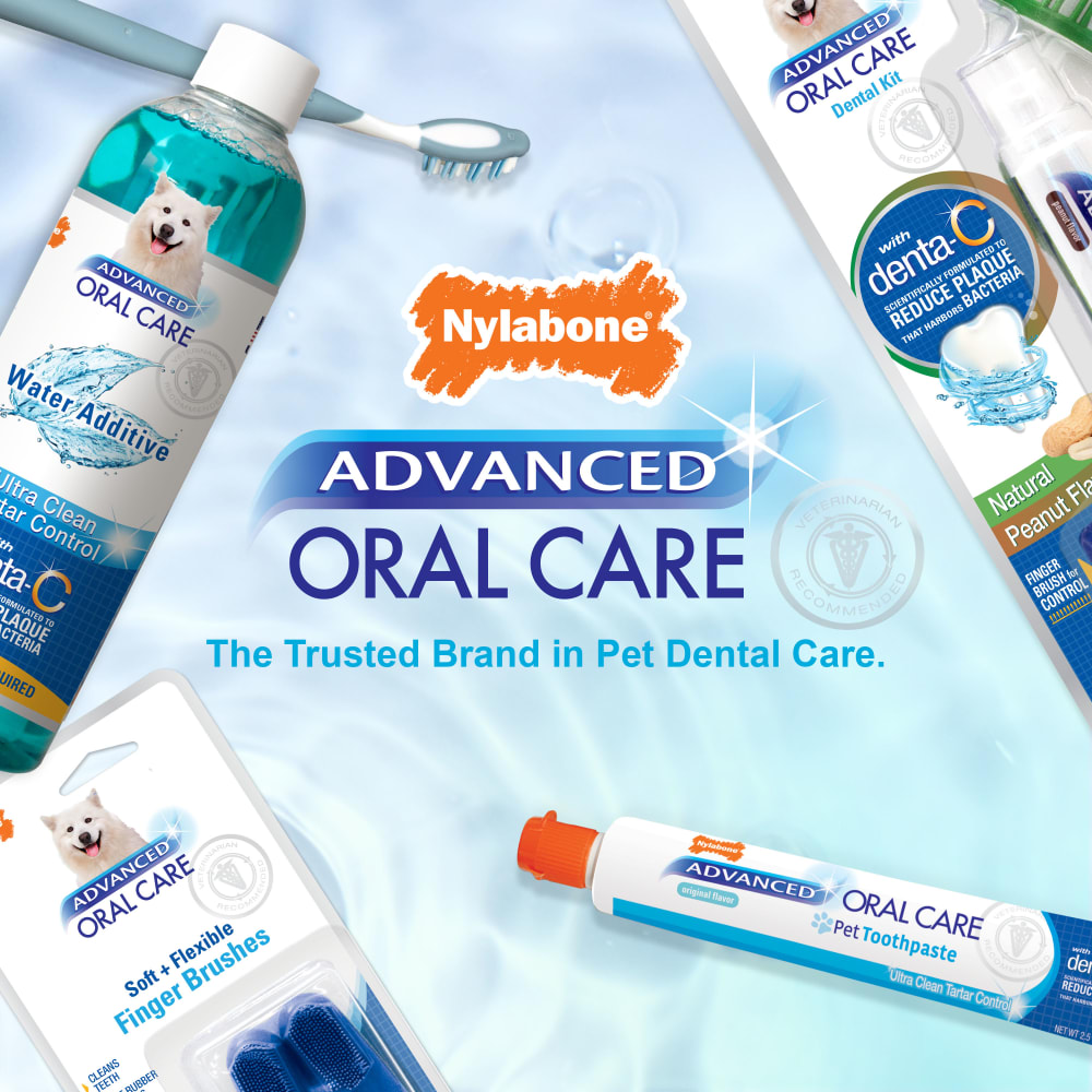 Advanced Oral Care Water Additive for Dogs Nylabone