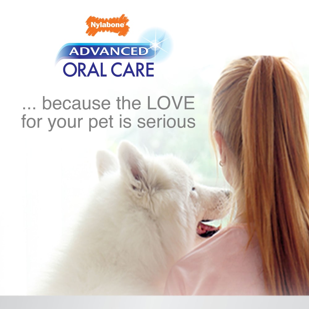 Nylabone advanced oral care liquid tartar remover for dogs deals