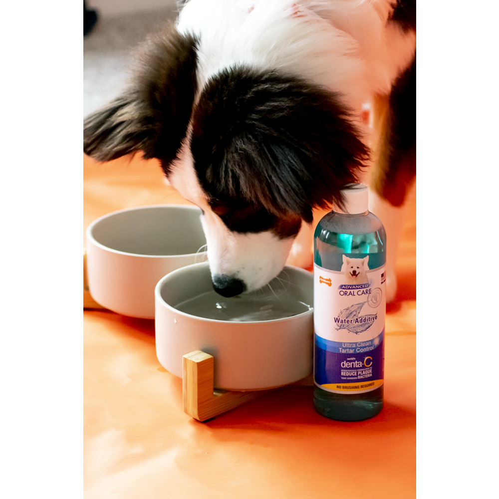 Nylabone advanced oral care liquid tartar remover for dogs new arrivals