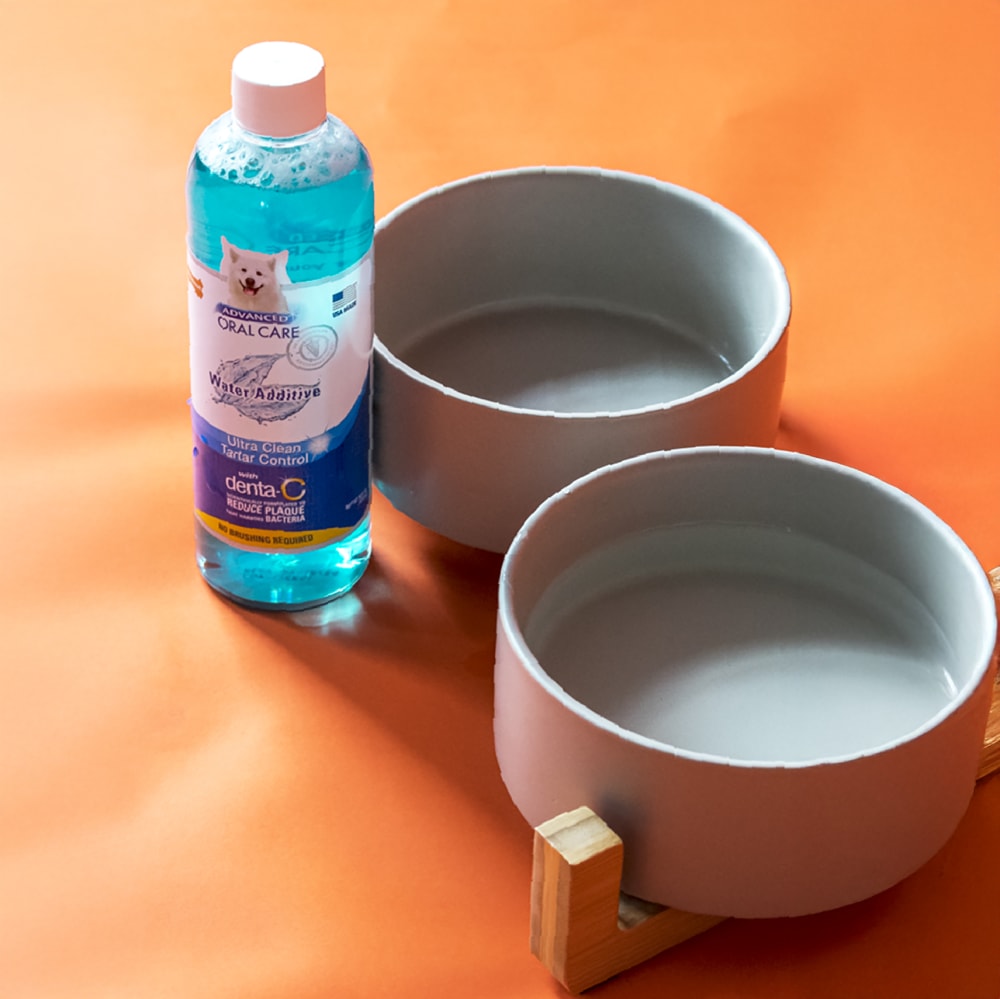 Advanced Oral Care Water Additive for Dogs | Nylabone