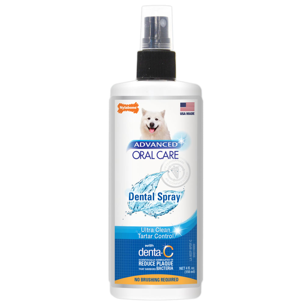 Front view of Nylabone Aoc Dental Spray in packaging