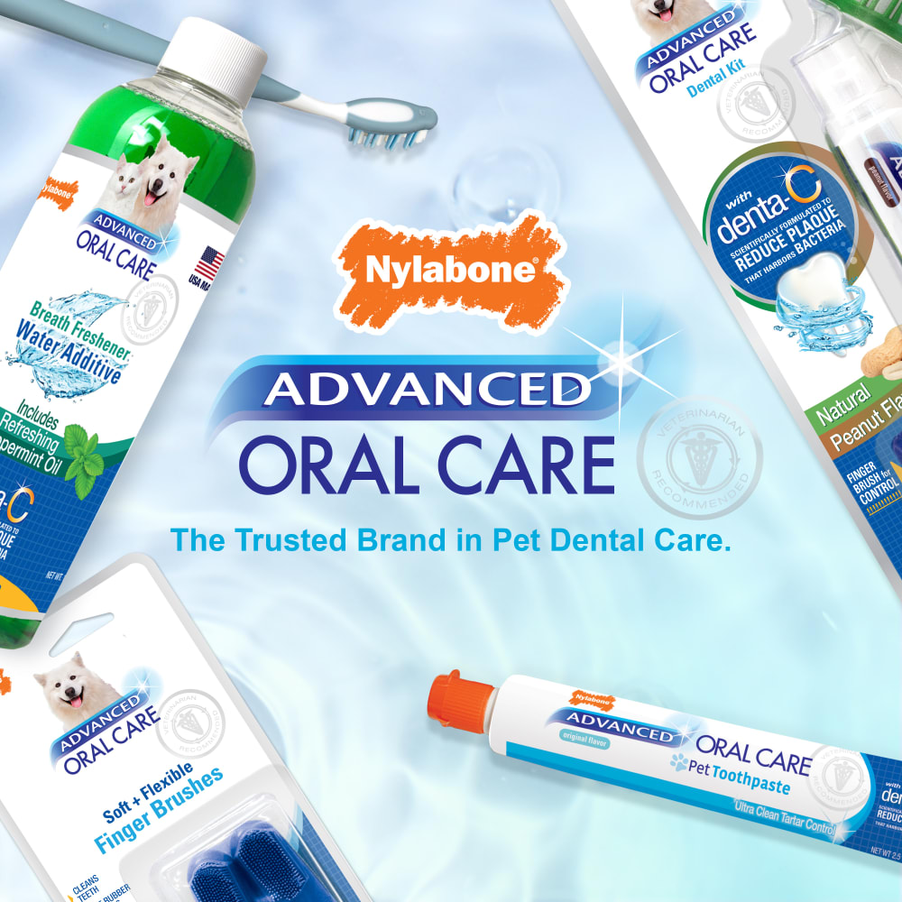 Advanced Oral Care Dog Cat Breath Freshener Nylabone