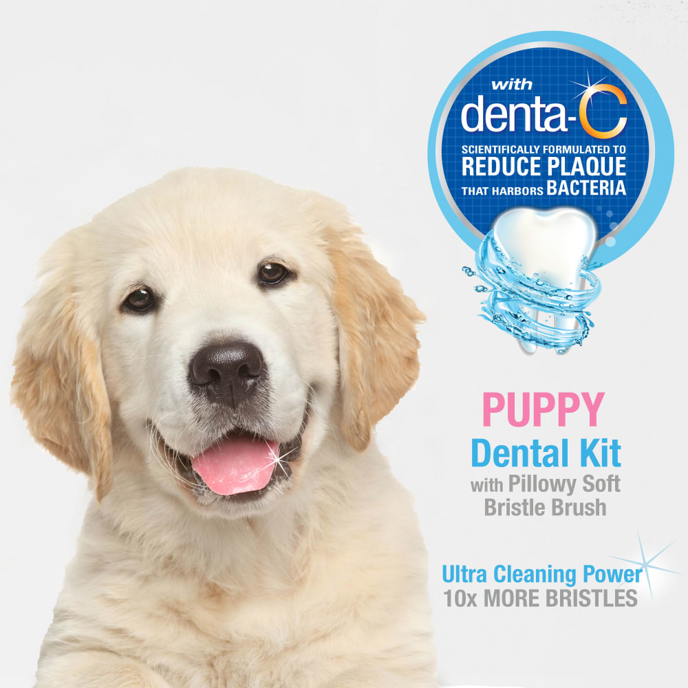 018214852490-aoc-puppysoftbristlekit-lifestyle