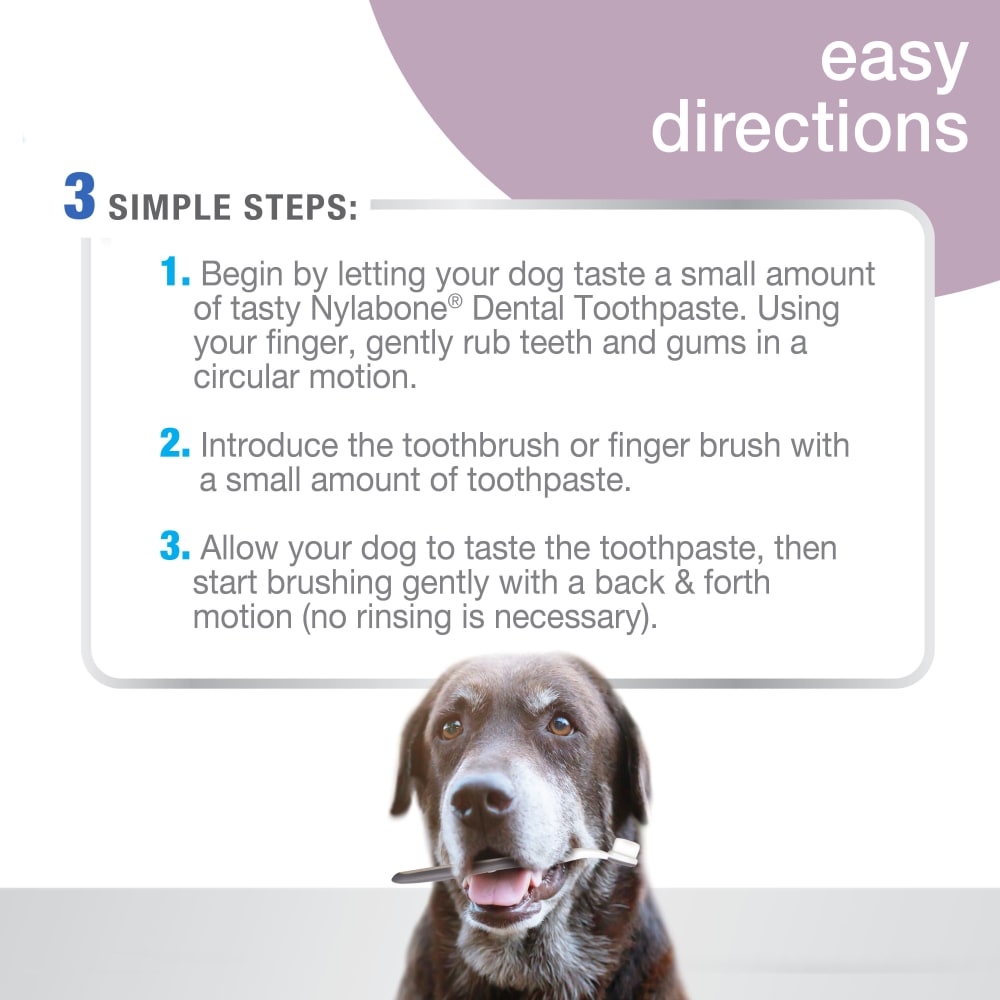 Nylabone dog toothbrush best sale