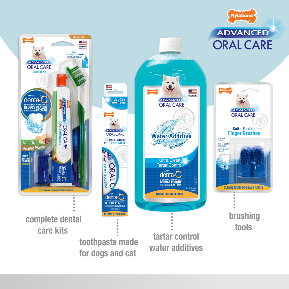018214852957-nylabone-aoc-senior-dental-kit-with-soft-brush-family