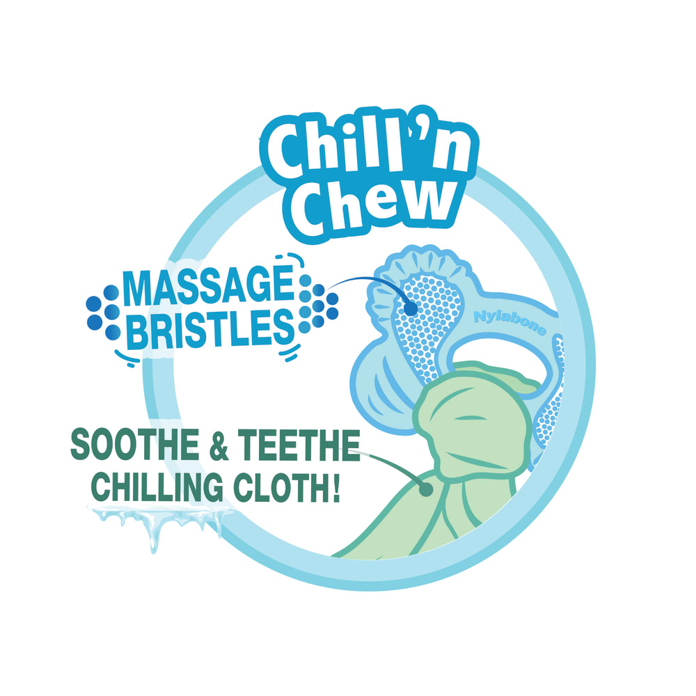 018214846246-nylabone-puppy-chew-freezer-bone-informational-image
