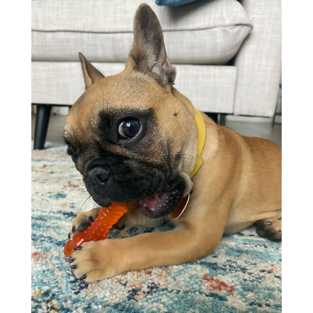 lucillegooseball-6-14-2022-nylabone-ugc-full-rights-a
