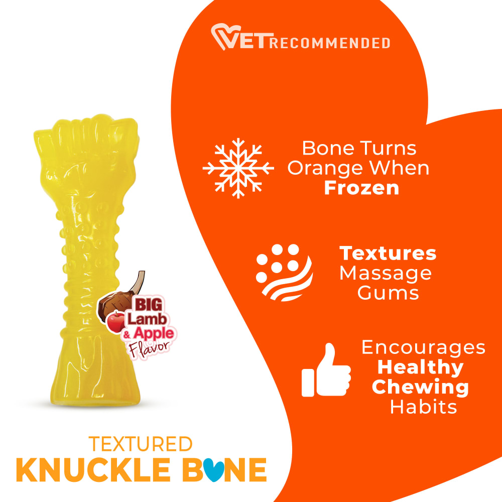 Lamb & Apple Puppy Chew Freezer Dog Bone | Nylabone