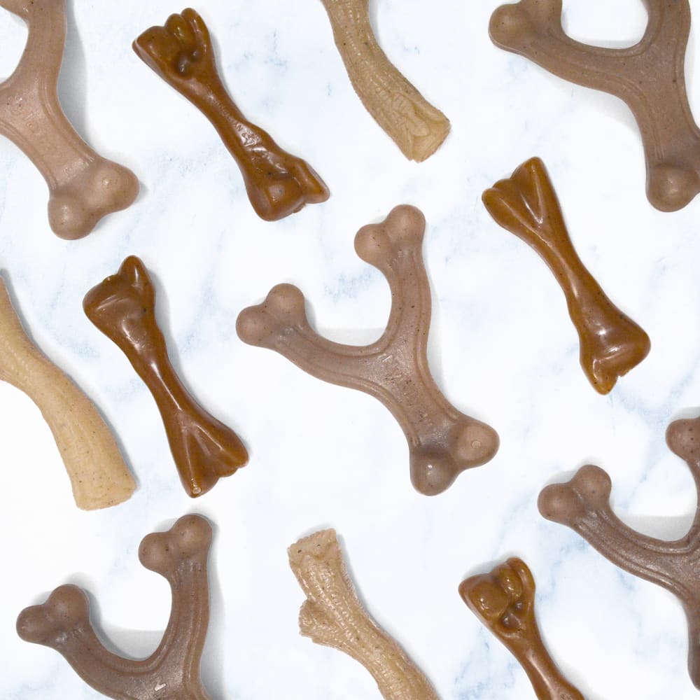 18214853527-nylabone-puppy-gourmet-style-strong-chew-stick-chicken-groupshot